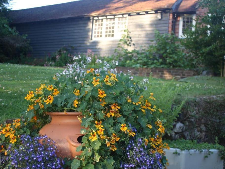 Oak House Farm Daire Edenbridge Dış mekan fotoğraf