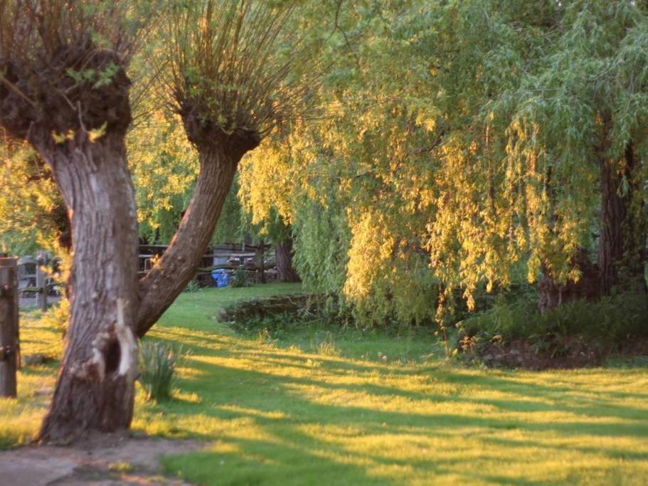 Oak House Farm Daire Edenbridge Dış mekan fotoğraf