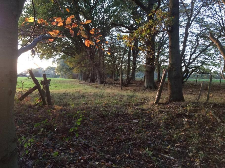 Oak House Farm Daire Edenbridge Dış mekan fotoğraf
